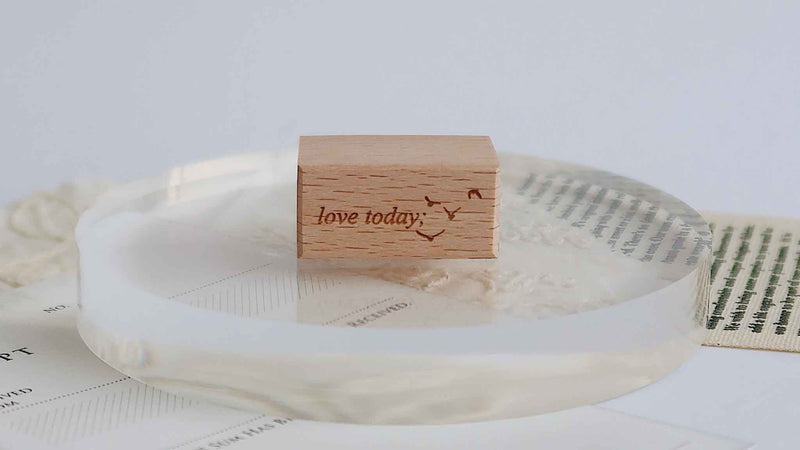 Sue Sauce Rubber Stamp - English Words - Love Today